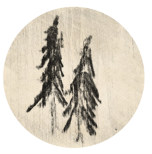 Twin Pine Pursuits logo