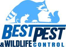 Avatar for Best Pest & Wildlife Control, LLC