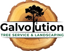 Logo for Galvolution