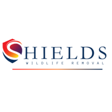 Avatar for Shields