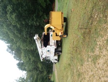 Avatar for B&A Tree Service