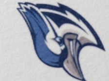 Logo for Bluejay Mosquito & Pest Solutions