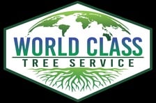 Logo for World Class Tree Service
