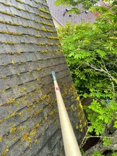 Noah's Roof Cleaning logo