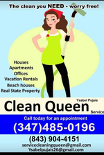 Logo for Cleaning Queen  Service