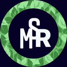Logo for MSR Stucco Restoration LLC