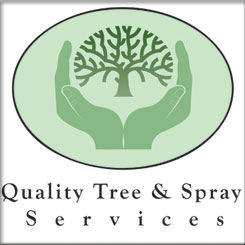 Quality Tree Service, Inc. logo