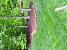 Avatar for Salas Tree Service And Construction