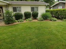 Avatar for CLAYTON LANDSCAPING