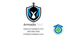 Avatar for Armada