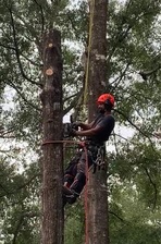 Logo for Robin and Julio Tree Care, LLC