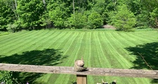Avatar for McMichaels Lawn Care