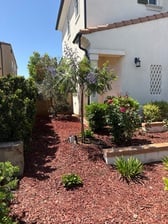 Avatar for Duarte's Landscaping - Unlicensed Contractor