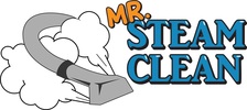 Logo for Mr Steam Clean, LLC