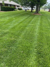 Avatar for Pure Green Lawn Service