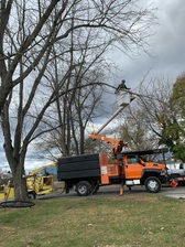 Avatar for ACR Tree Service