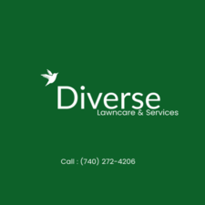 Avatar for Diverse Lawn Care & Services