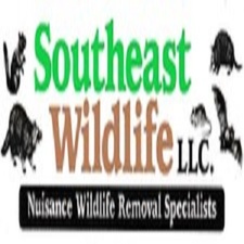 Avatar for Southeast Wildlife LLC