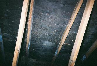Cleaning Black Mold In Attic Image Balcony And Cleaning Black Mold In Attic Image Balcony And