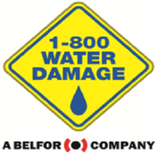 Avatar for 1-800 Water Damage of Fall River and New Bedford