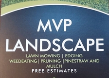 MVP Landscape logo
