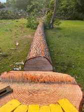 Avatar for The Jacked Tree Company