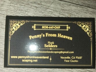 Penny's From Heaven Landscaping - Unlicensed Contractor logo