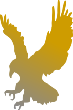 Avatar for Golden Eagle Spray Foam & Insulation