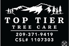 Avatar for Top Tier Tree Care