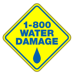 1-800 Water Damage logo