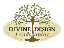 Avatar for Divine Design Landscaping, LLC
