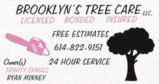 Logo for Brooklyns Tree Care