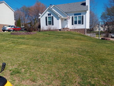 Logo for Clean Cut Lawn & Maintenance
