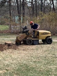 Johnny's Stump Grinding & More logo