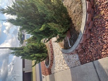 Avatar for Emerald Coast Sprinklers