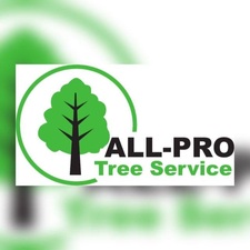 All Pro Tree Service logo