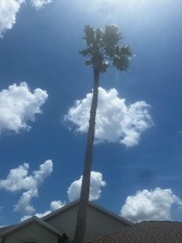 Avatar for D&D Tree Service