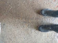 Avatar for King Power Washing, LLC