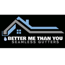 Logo for Better Me Than You