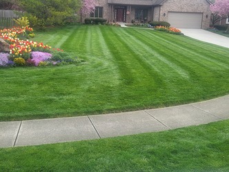 Freedom 35 Lawn Care logo