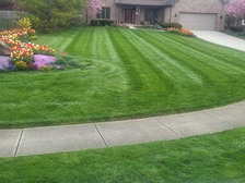 Freedom 35 Lawn Care logo