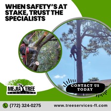 Avatar for Mejia's Tree Services