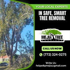 Avatar for Mejia's Tree Services
