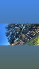 Avatar for Jackson Crow Tree Services