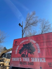 Logo for Emery's Tree Service LLC