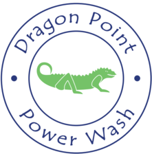 Avatar for Dragon Point Power Wash