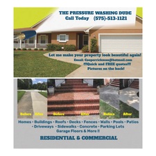 Avatar for The Pressure Washing Dude