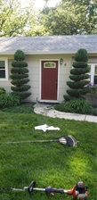 Logo for Moises C Landscaping