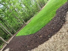 Logo for Santi's Lawn Care