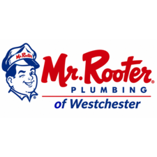 Avatar for Mr. Rooter of Westchester NY